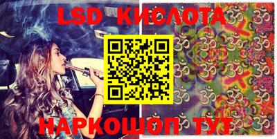 крисы Кунгур