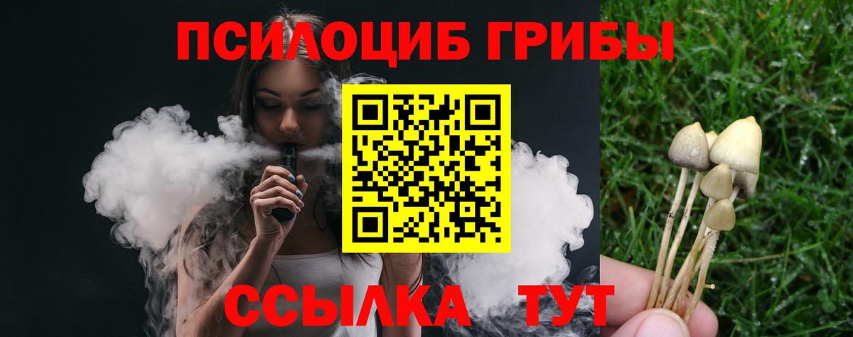 наркошоп  Вход с VPN  Курчалой  Галлюциногенные грибы мицелий 